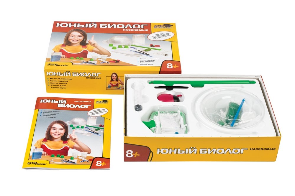 Domowa laboratoria Młodego biologa. Owady