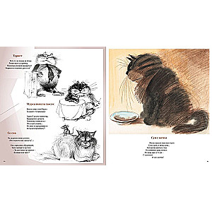 The Complete Collection of Cats
