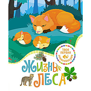The Life of the Forest