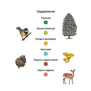 The Life of the Forest