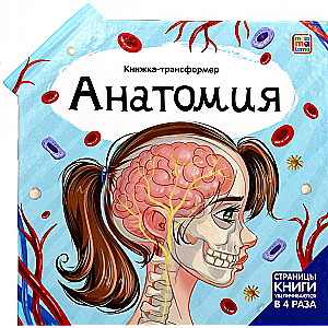 Transformer Book. Anatomy