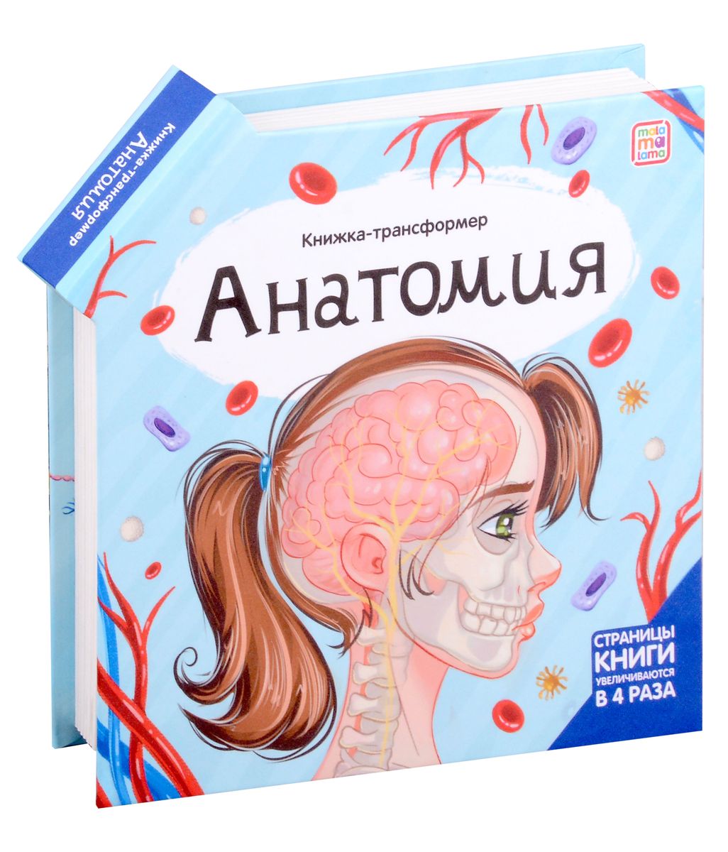 Transformer Book. Anatomy