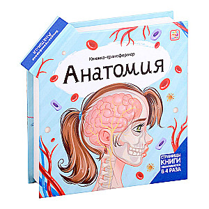 Transformer Book. Anatomy