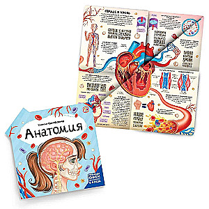 Transformer Book. Anatomy