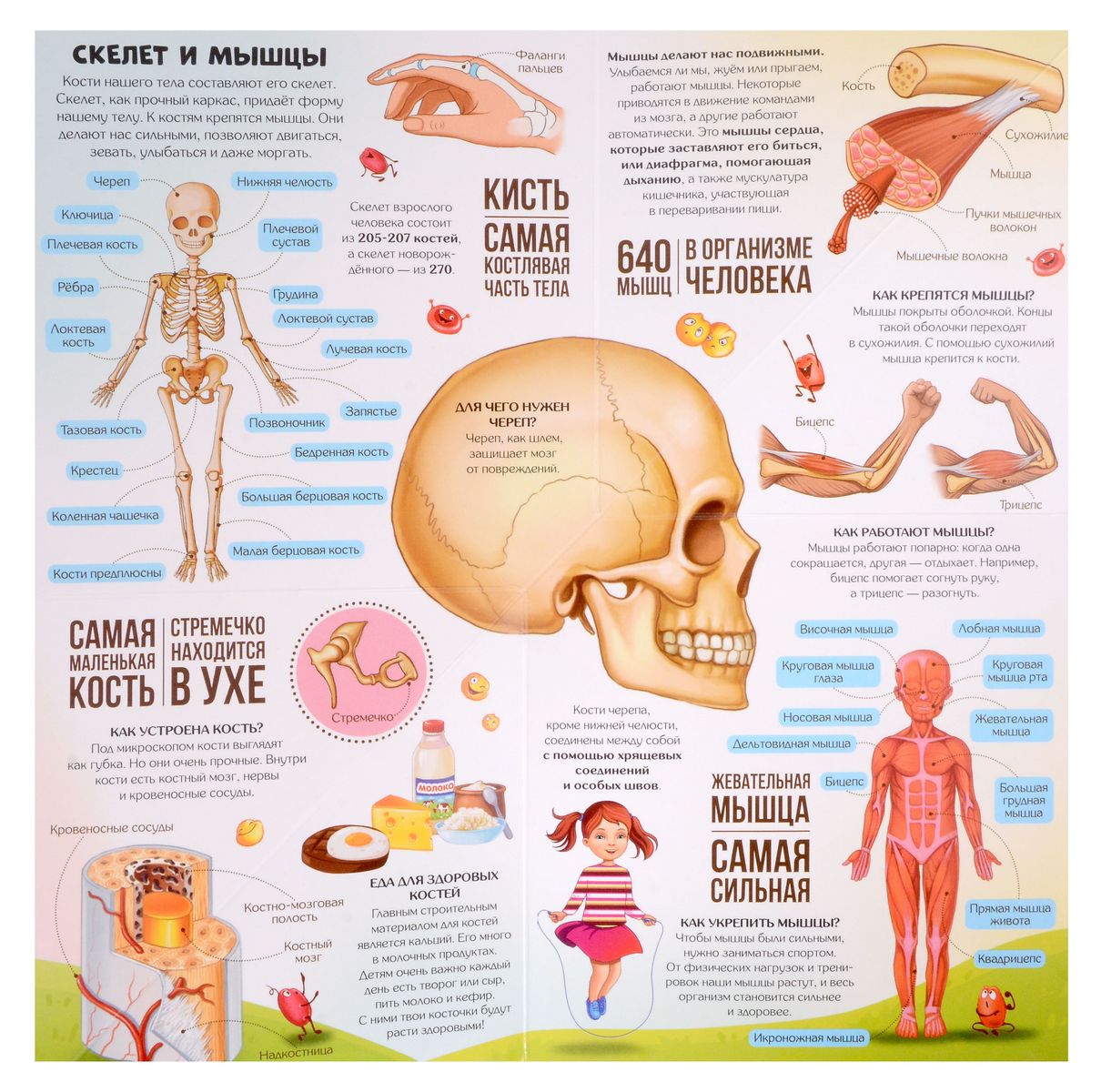 Transformer Book. Anatomy
