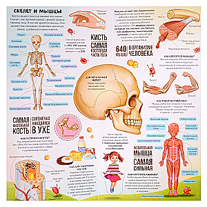 Transformer Book. Anatomy