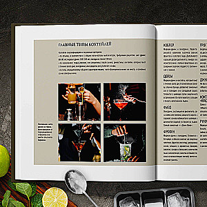 Bartender's Guide. History, Techniques, Recipes