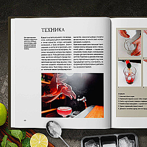 Bartender's Guide. History, Techniques, Recipes