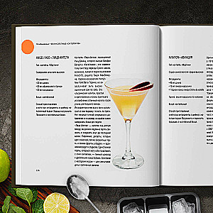 Bartender's Guide. History, Techniques, Recipes