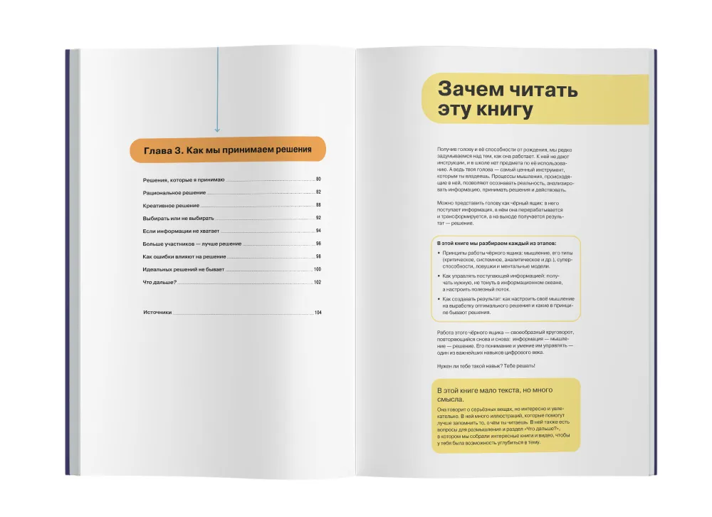 How to Think and Choose. A Visual Guide for the Mind in Infographics from the series “What They Don’t Teach in School” for Children and Teenagers