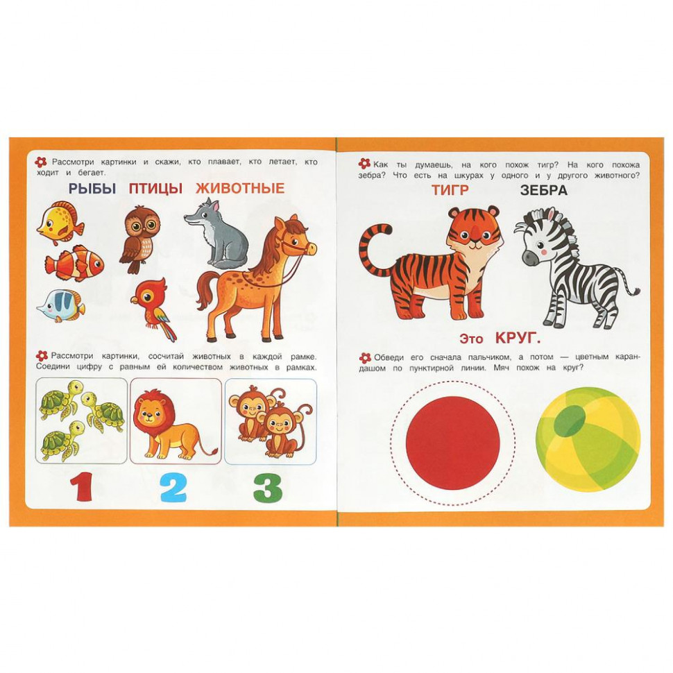 Learning Shapes. First Tasks for Little Ones