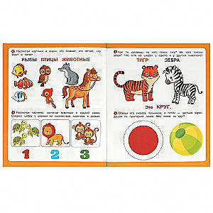 Learning Shapes. First Tasks for Little Ones