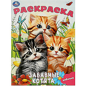 Funny Kittens. Coloring Book