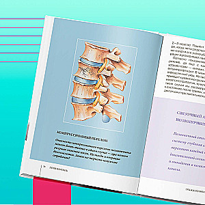 Funkcjonalna anatomia zdrowia