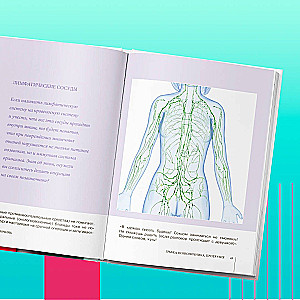 Funkcjonalna anatomia zdrowia