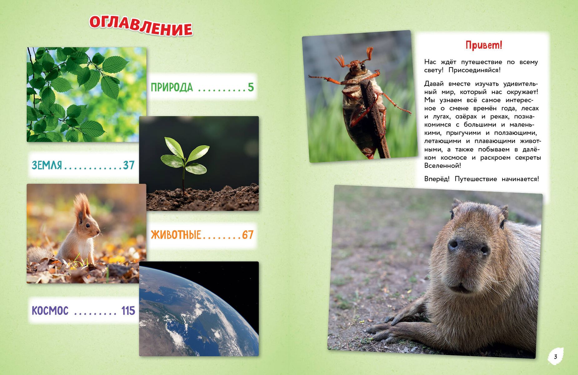 Everything in the World! A Big Encyclopedia for Little Ones