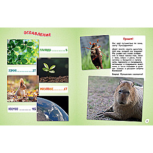 Everything in the World! A Big Encyclopedia for Little Ones