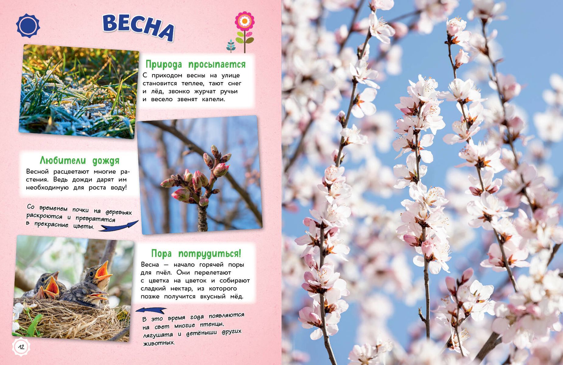 Everything in the World! A Big Encyclopedia for Little Ones