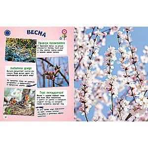 Everything in the World! A Big Encyclopedia for Little Ones