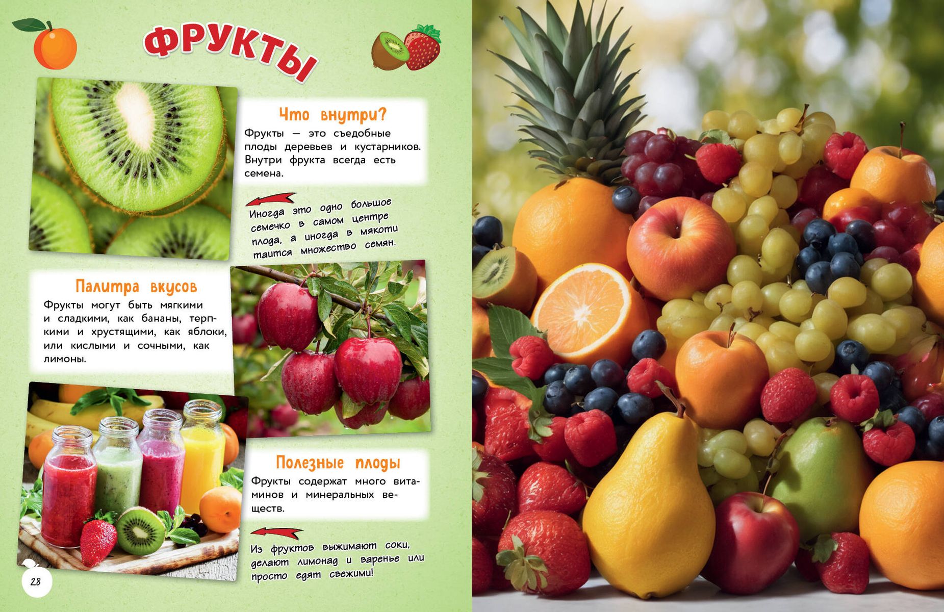 Everything in the World! A Big Encyclopedia for Little Ones