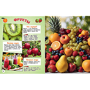 Everything in the World! A Big Encyclopedia for Little Ones