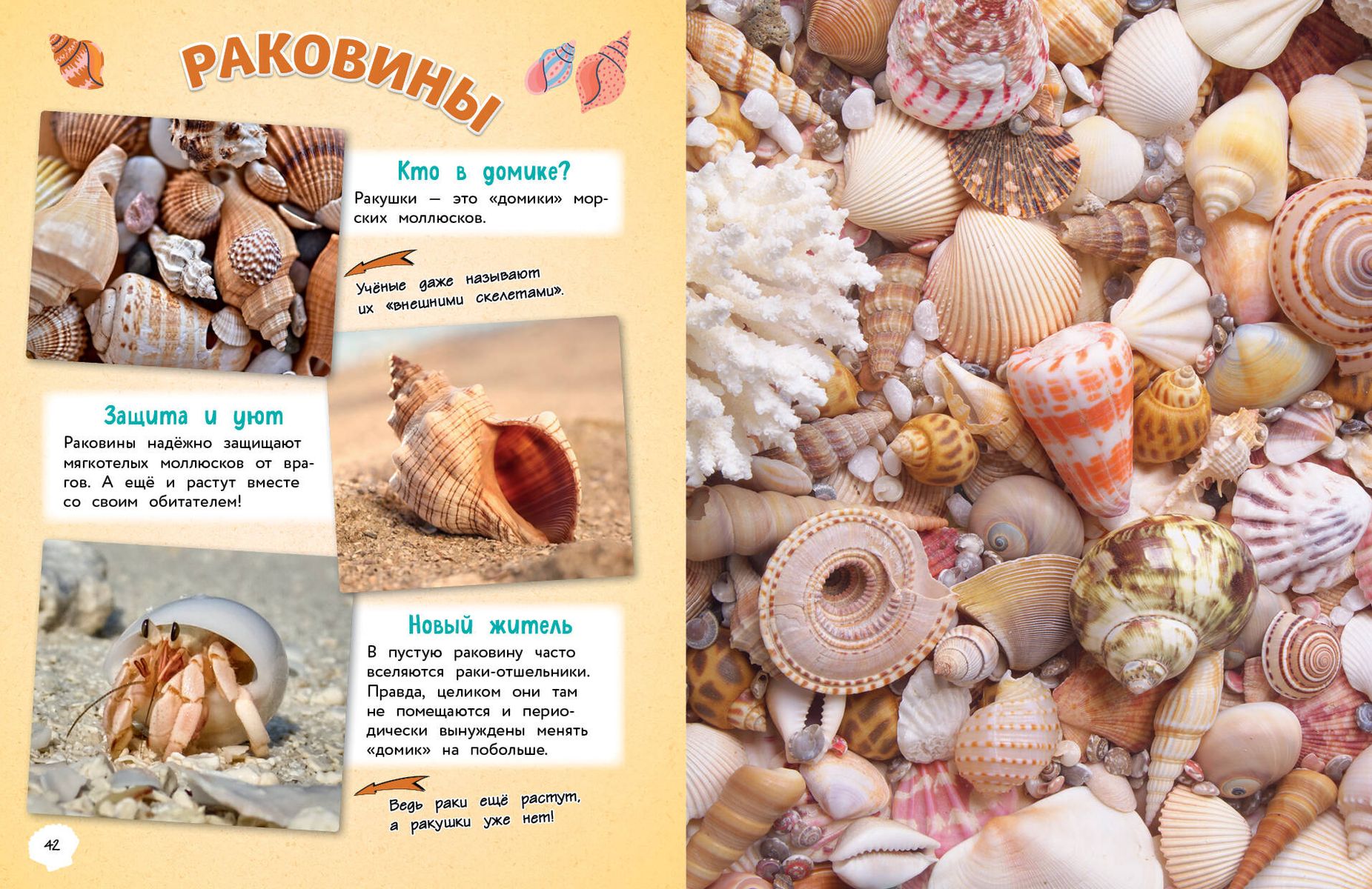 Everything in the World! A Big Encyclopedia for Little Ones