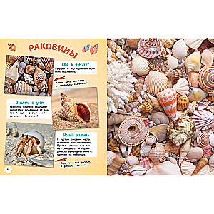 Everything in the World! A Big Encyclopedia for Little Ones