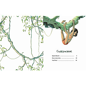 The Jungle Book. The Story of Mowgli