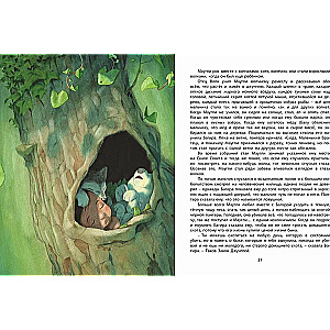 The Jungle Book. The Story of Mowgli