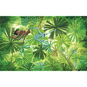 The Jungle Book. The Story of Mowgli
