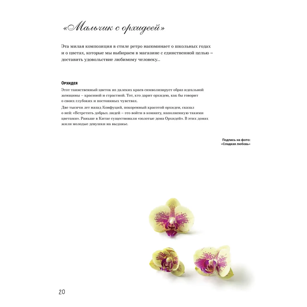 French Cross Stitch. Floral Fantasies by Hélène Le Berre.