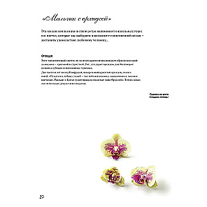 French Cross Stitch. Floral Fantasies by Hélène Le Berre.