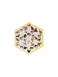 Developing Game Kaleidoscope of Animals. Trimino