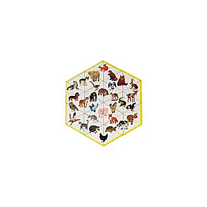 Developing Game Kaleidoscope of Animals. Trimino