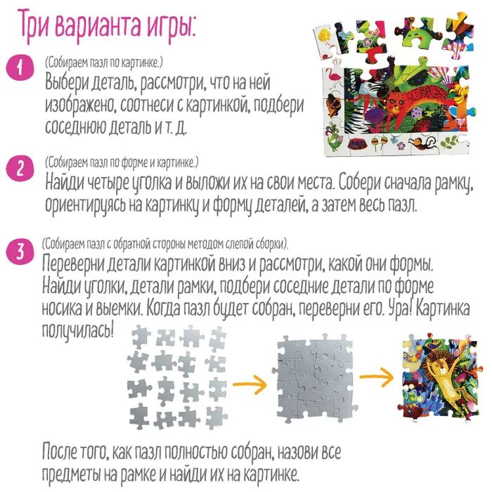 IQ Puzzle with Development Game: Fun Jungle Party