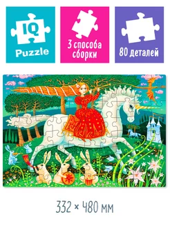 IQ Puzzle with Differences: Fairy Princess.