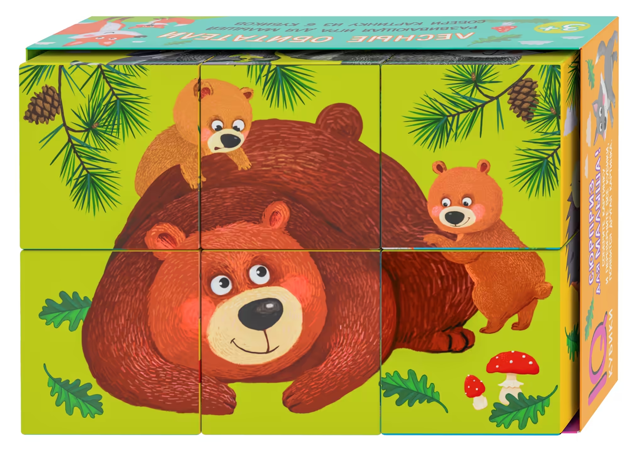 Smart Cubes in a Tray. 6 pieces. Forest inhabitants