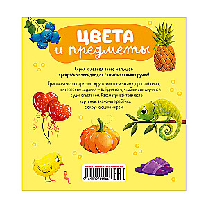 The Main Book for Kids. Colors and Objects