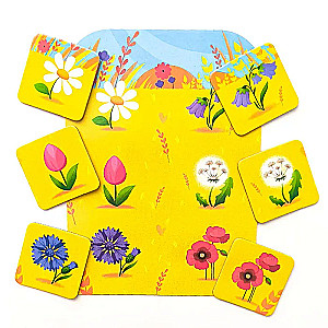 Loto. Pasaule apkārt