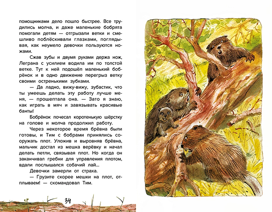 The Guide, or Five Cedar Nuts