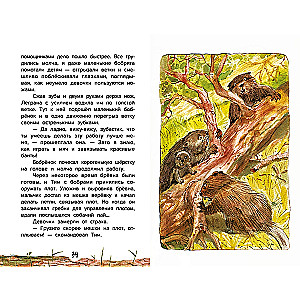 The Guide, or Five Cedar Nuts