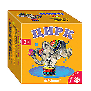 Developing Kit Circus (Book+Game)
