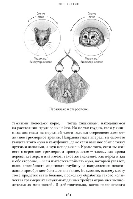 EVE. The History of the Evolution of the Female Body. The History of Humanity