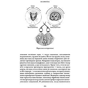 EVE. The History of the Evolution of the Female Body. The History of Humanity