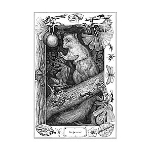 EVE. The History of the Evolution of the Female Body. The History of Humanity
