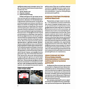 Intellect. Exercises and Tasks for the Japanese Brain Development System
