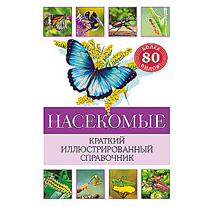 Insects. A Brief Illustrated Guide