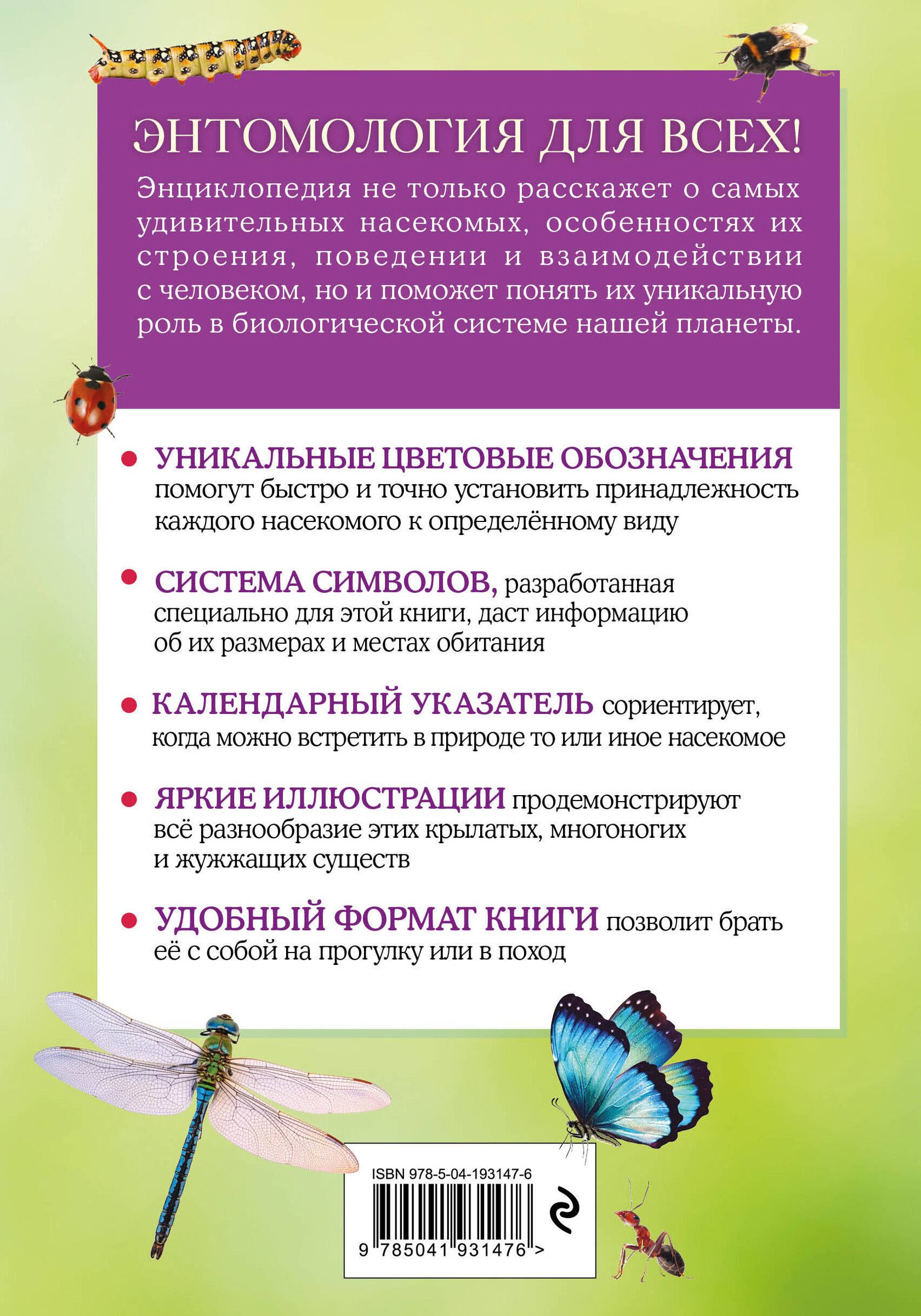 Insects. A Brief Illustrated Guide