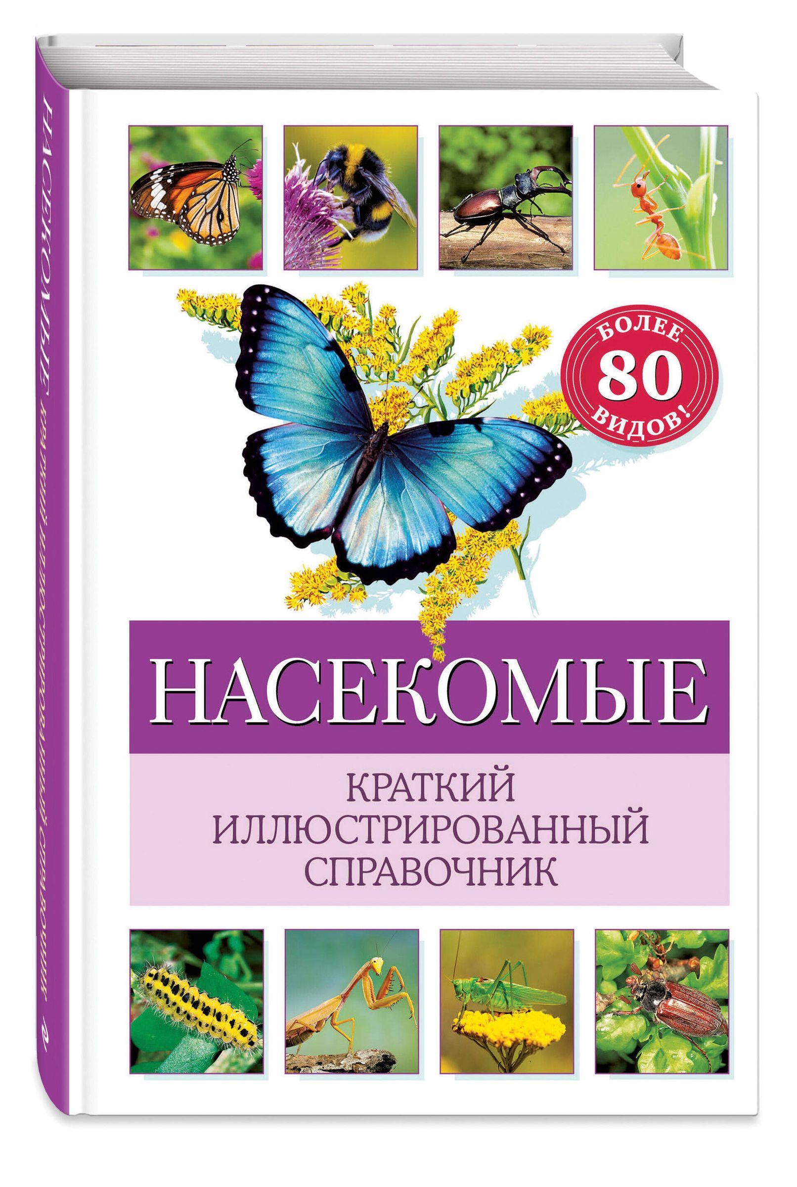 Insects. A Brief Illustrated Guide