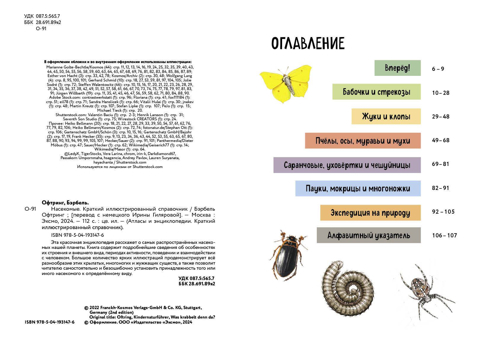 Insects. A Brief Illustrated Guide
